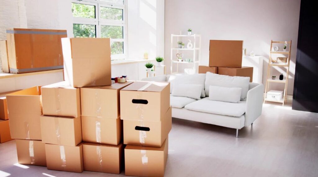 Overstock